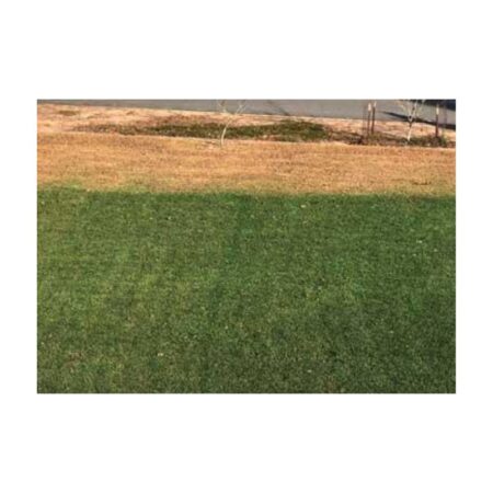 IRISH GREEN premium turf pigment
